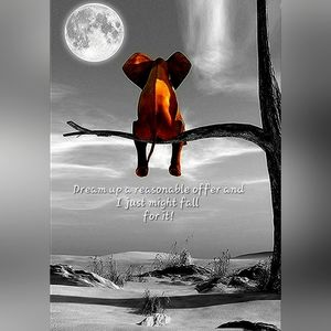 All kinds of cool stuff!